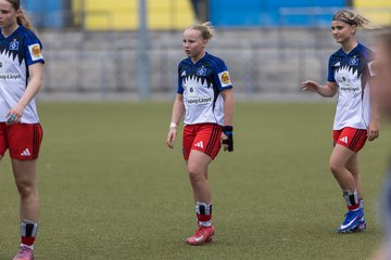Bild 231 - wBJ Hamburger SV - FC Suederelbe : Ergebnis: 9:0